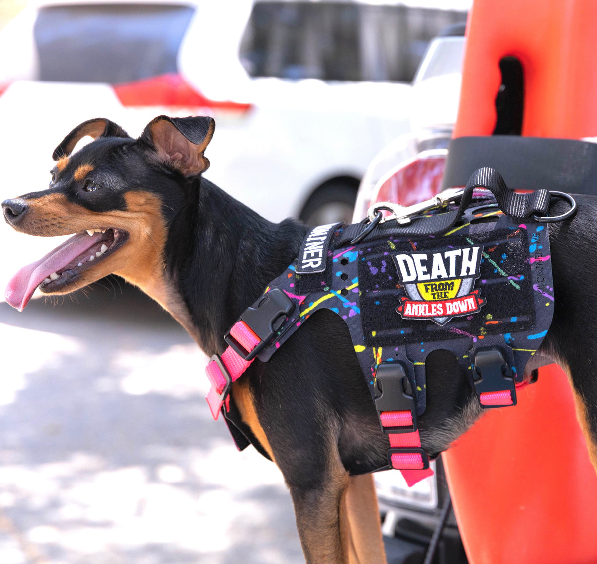K9R - M5 MOLLE Light Vest